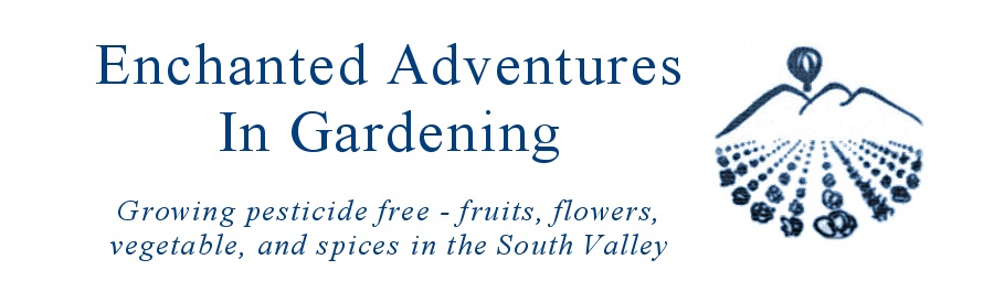 Enchanted Adventures In Gardening